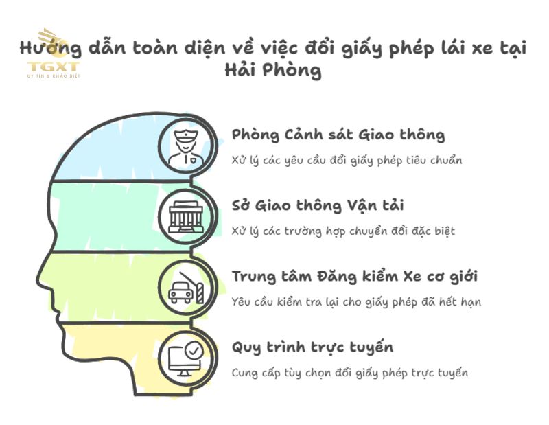 Nơi Cấp Đổi Giấy Phép Lái Xe Tại Hải Phòng