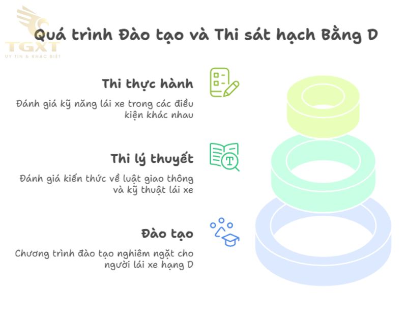Bằng D lái xe gì? Tất cả những điều cần biết