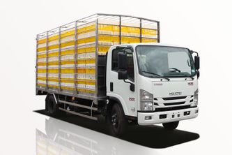 Xe Tải Isuzu NQR NQR75LE5 5 Tấn Thùng Chở Gia Cầm