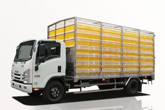 Xe Tải Isuzu NQR NQR75ME5 4 Tấn Chở Gia Cầm