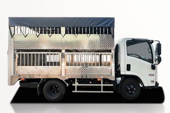 Xe Tải Isuzu QKR QLR77FE5 1.9 Tấn Thùng Chở Gia Súc
