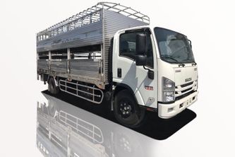 Xe Tải Isuzu NPR NPR85KE5 3 Tấn Chở Gia Súc