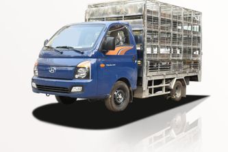 Xe Tải Hyundai New Porter H150 1.2 Tấn Chở Gia Cầm - Euro 5