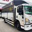 Xe Tải Isuzu NQR NQR75ME5 5.5 Tấn
