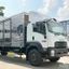 Xe Tải Isuzu FVR FVR34UE5 8 Tấn