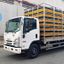 Xe Tải Isuzu NQR NQR75ME5 4 Tấn Chở Gia Cầm