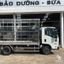 Xe Tải Isuzu QKR QLR77FE5 1.9 Tấn Thùng Chở Gia Cầm