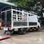 Xe Tải Isuzu NQR NQR75LE5 5 Tấn