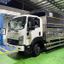 Xe Tải Isuzu FRR FRR90NE5 6 Tấn