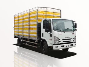 Xe Tải Isuzu NQR NQR75LE5 5 Tấn Thùng Chở Gia Cầm