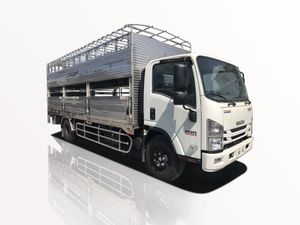 Xe Tải Isuzu NQR NQR75LE5 4 Tấn Chở Gia Súc