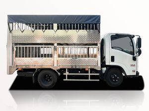 Xe Tải Isuzu QKR QLR77FE5 1.9 Tấn Thùng Chở Gia Súc