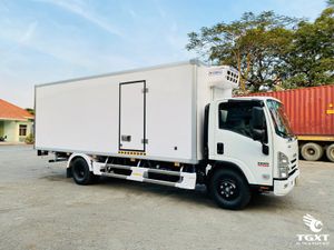Xe Tải Isuzu NQR NQR75LE5 5 Tấn Thùng Đông Lạnh