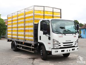 Xe Tải Isuzu NQR NQR75LE5 5 Tấn Thùng Chở Gia Cầm