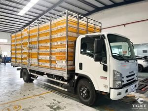 Xe Tải Isuzu NQR NQR75ME5 4 Tấn Chở Gia Cầm