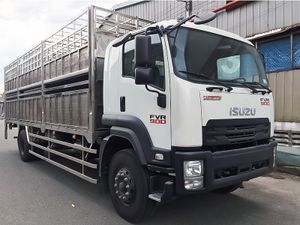 Xe Tải Isuzu FVR FVR34SE5 6.4 Tấn Chở Gia Súc