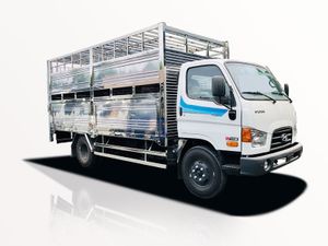 Xe Tải Hyundai Mighty W11S 5.9 Tấn Chở Gia Súc - Euro 5