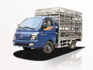 Xe Tải Hyundai New Porter H150 1.2 Tấn Chở Gia Cầm - Euro 5
