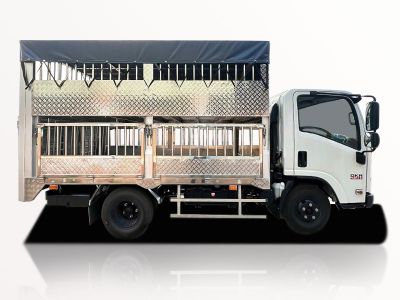 Xe Tải Isuzu QKR QLR77FE5 1.9 Tấn Thùng Chở Gia Súc