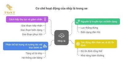 Nguyên lý hoạt động của nhíp lá