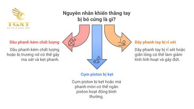 Thắng tay bị bó cứng: Nguyên nhân và cách xử lý chi tiết