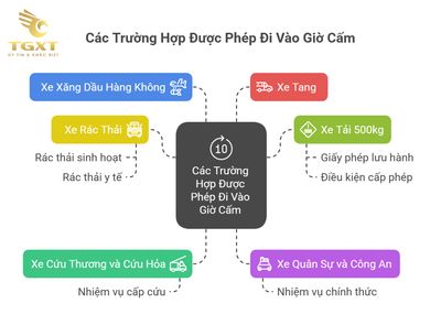 Xe tải 500kg có bị cấm giờ không? Tình huống - Quy định - Cách xử lý