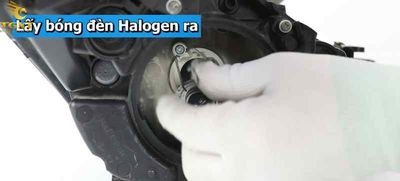 cach-thay-bong-den-xe-tai-isuzu-1-1.jpg Hình ảnh hướng dẫn cách thay bóng đèn xe tải Isuzu đúng kỹ thuật và an toàn, gồm các bước nhận biết và tháo lắp chi tiết.