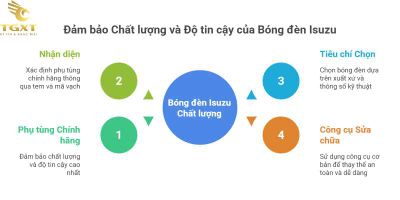 Cách thay bóng đèn xe tải Isuzu chuẩn kỹ thuật và an toàn