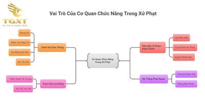 muc-phat-xe-tai-vi-pham-ve-tai-trong-va-kich-thuoc-moi-nhat-1.jpg