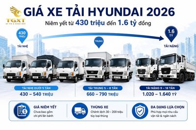gia-xe-tai-hyundai-co-nen-mua-xe-tai-hyundai-tra-1781158419508.jpg