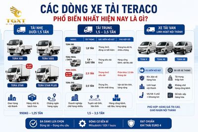 xe-tai-teraco-cua-nuoc-nao-cac-dong-xe-tai-teraco-pho-bie-1782038010380.jpg