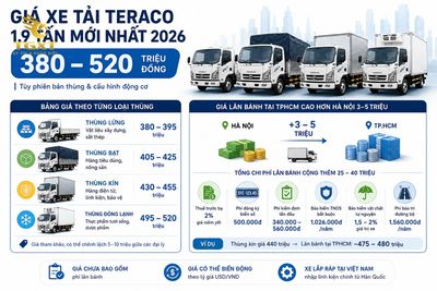 gia-xe-tai-teraco-19-tan-gia-xe-tai-teraco-19-tan-moi-n-1782185270434.jpg