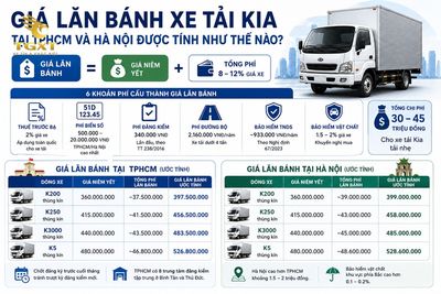gia-xe-tai-kia-gia-lan-banh-xe-tai-kia-tai-tp-1782371430557.jpg