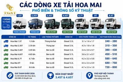 xe-tai-hoa-mai-co-tot-khong-danh-gia-cac-dong-xe-tai-hoa-mai-pho-bi-1782382707761.jpg