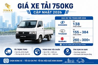 gia-xe-tai-750kg-mo-bai-1782522585426.jpg