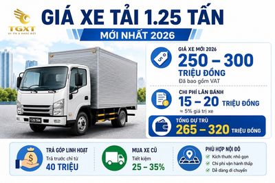 gia-xe-tai-125-tan-mo-bai-1783155303522.jpg