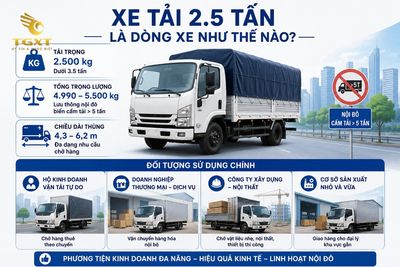 gia-xe-tai-25-tan-so-sanh-xe-tai-25-tan-hyundai-1783160100339.jpg