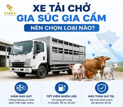 xe-tai-cho-gia-suc-gia-cam-nen-chon-loai-nao-mo-bai-1785126007992.jpg