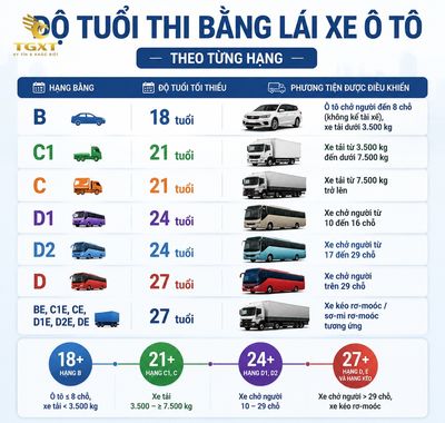 bao-nhieu-tuoi-duoc-thi-bang-lai-xe-o-to-quy-dinh-do-tuoi-thi-bang-lai-1785776004862.jpg