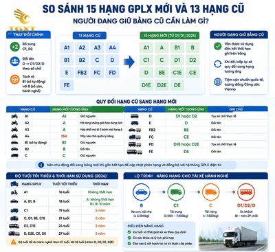 cac-loai-bang-lai-xe-so-sanh-he-thong-15-hang-gplx-1786508650253.jpg