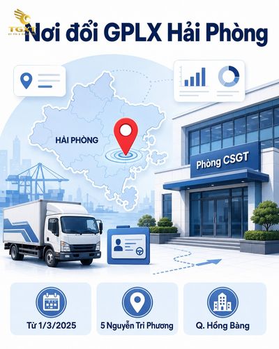 noi-cap-doi-giay-phep-lai-xe-tai-hai-phong-mo-bai-1786853163389.jpg