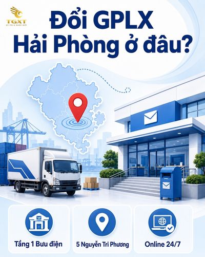 noi-cap-doi-giay-phep-lai-xe-tai-hai-phong-cap-doi-giay-phep-lai-xe-tai-h-1786853170402.jpg