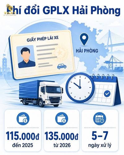 noi-cap-doi-giay-phep-lai-xe-tai-hai-phong-le-phi-va-thoi-gian-cap-doi-gi-1786853176651.jpg