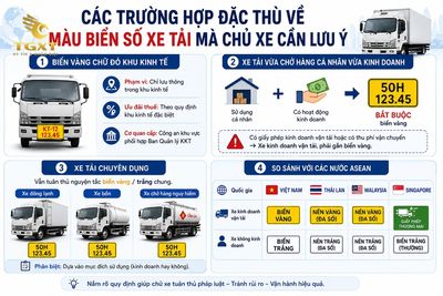 bien-so-xe-tai-mau-gi-cac-truong-hop-dac-thu-ve-mau-1786977114867.jpg