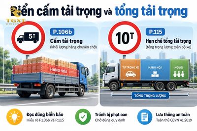 bien-cam-tai-trong-va-tong-tai-trong-mo-bai-1790487885384.jpg