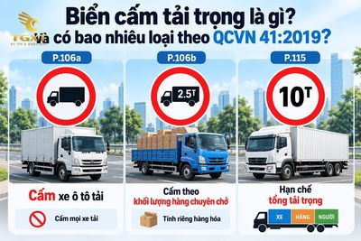 bien-cam-tai-trong-va-tong-tai-trong-bien-cam-tai-trong-la-gi-va-co-1790487893171.jpg