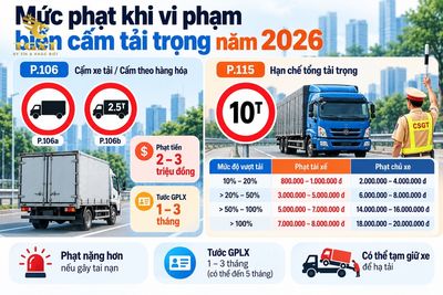 bien-cam-tai-trong-va-tong-tai-trong-muc-phat-khi-vi-pham-bien-cam-1790487907469.jpg