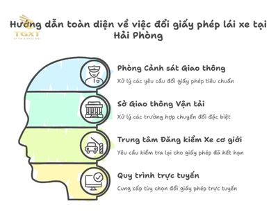 Nơi Cấp Đổi Giấy Phép Lái Xe Tại Hải Phòng