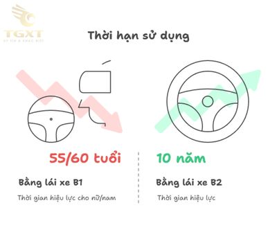 Bằng B2 lái xe gì? Hướng dẫn đầy đủ về giấy phép lái xe hạng B2