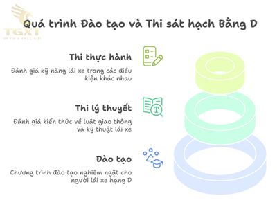Bằng D lái xe gì? Tất cả những điều cần biết